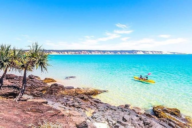 Half-Day Kayak With Dolphins And 4WD Beach Drive From Rainbow Beach - thumb 5