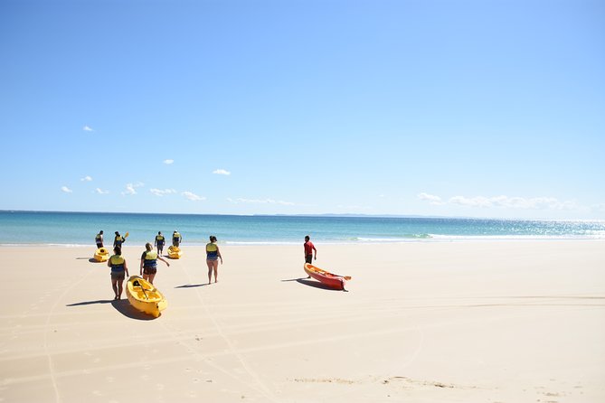 Half-Day Kayak With Dolphins And 4WD Beach Drive From Rainbow Beach - Accommodation ACT 10