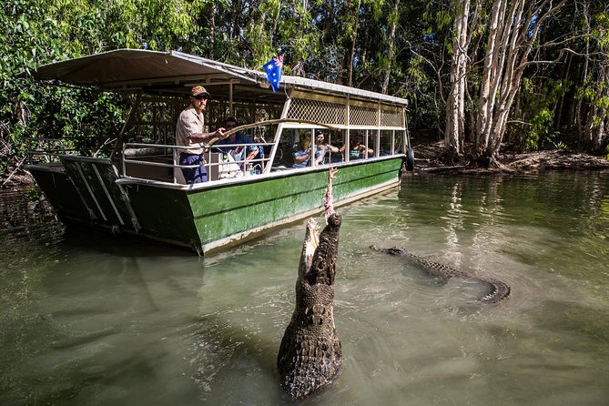 Hartley's Crocodile Adventures Day Trip from Palm Cove - Wagga Wagga Accommodation