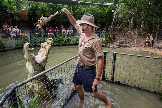 Hartley\'s Crocodile Adventures Day Trip From Palm Cove - ACT Tourism 1
