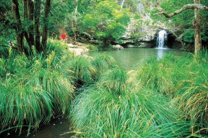 Explore Maleny, Montville, And Take A Swim Under The Waterfall. - ACT Tourism 3