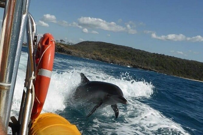 Noosa Oceanrider - Thrill Ride - ACT Tourism 4