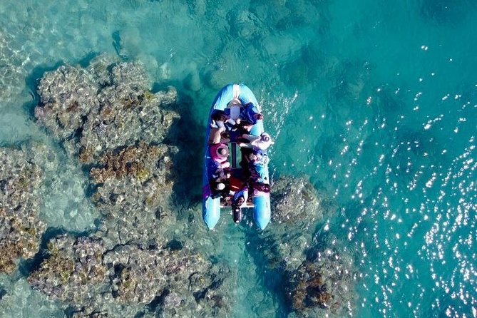 Glass-bottom boat tour with Whitehaven Beach - Accommodation Gold Coast