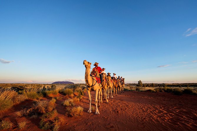 Uluru Small-Group Tour by Camel at Sunrise or Sunset - Accommodation Mt Buller
