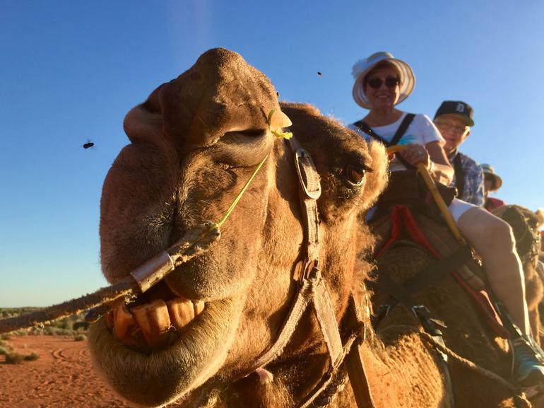 Uluru Small-Group Tour By Camel At Sunrise Or Sunset - Attractions Perth 7