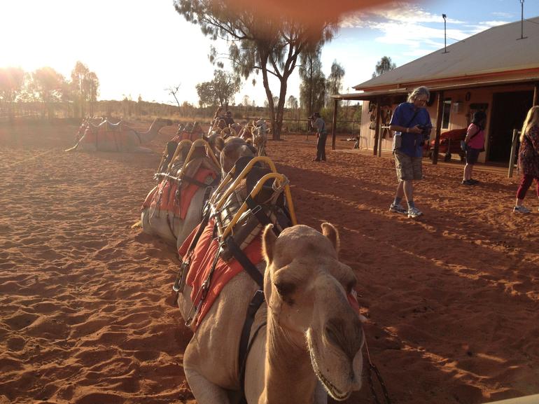 Uluru Small-Group Tour By Camel At Sunrise Or Sunset - Attractions Perth 22