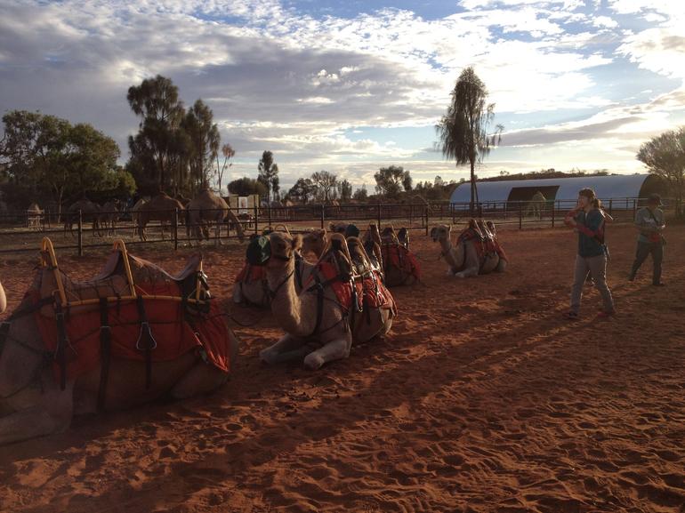 Uluru Small-Group Tour By Camel At Sunrise Or Sunset - Attractions Perth 23