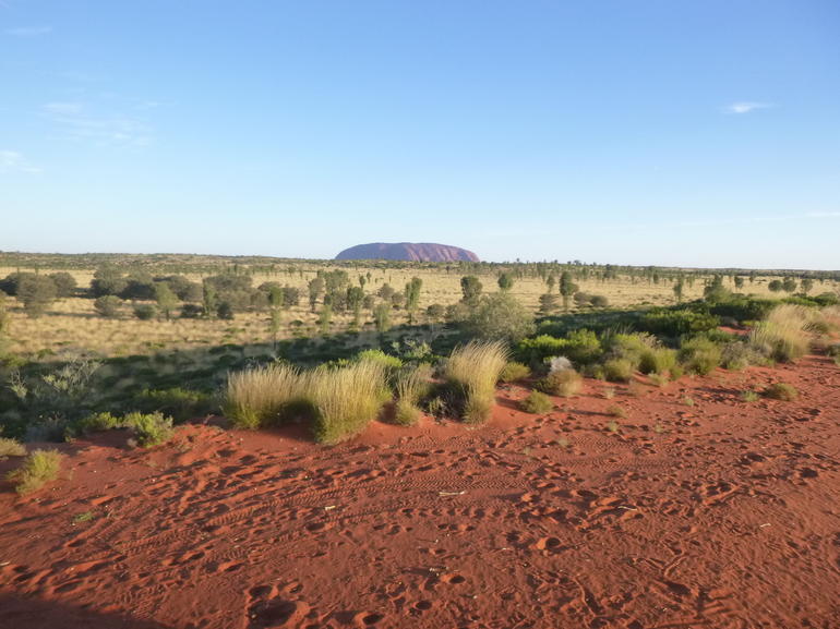 Uluru Small-Group Tour By Camel At Sunrise Or Sunset - ACT Tourism 9