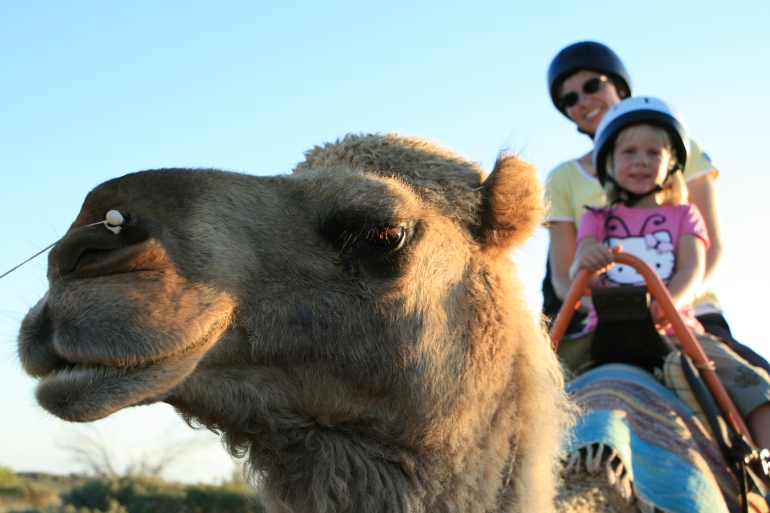 Uluru Small-Group Tour By Camel At Sunrise Or Sunset - Attractions Perth 3