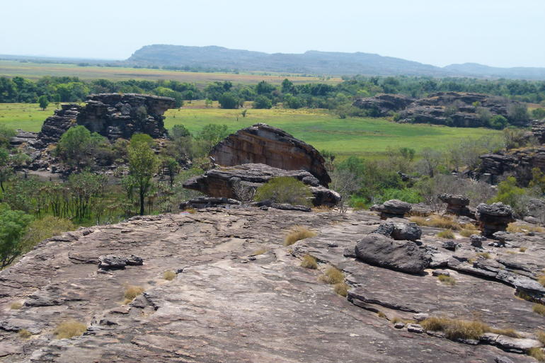 Kakadu Full-Day Tour From Darwin With Lunch - Accommodation ACT 3