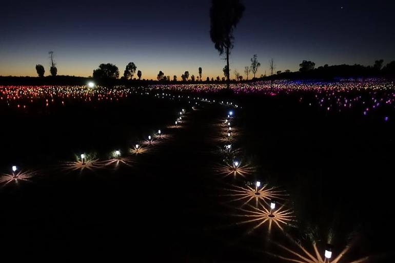 Uluru Field Of Light Sunrise Tour - ACT Tourism 2
