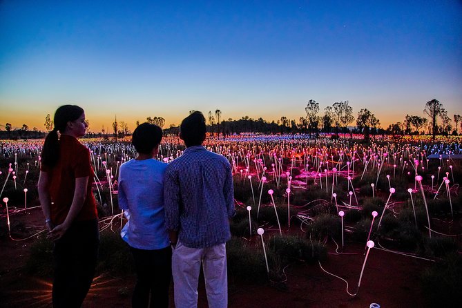 Uluru Field of Light Sunrise Tour - Attractions