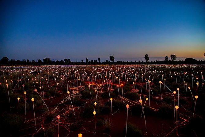Uluru Field Of Light Sunrise Tour - Accommodation ACT 7
