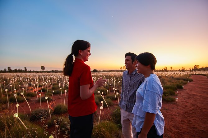Uluru Field Of Light Sunrise Tour - ACT Tourism 9
