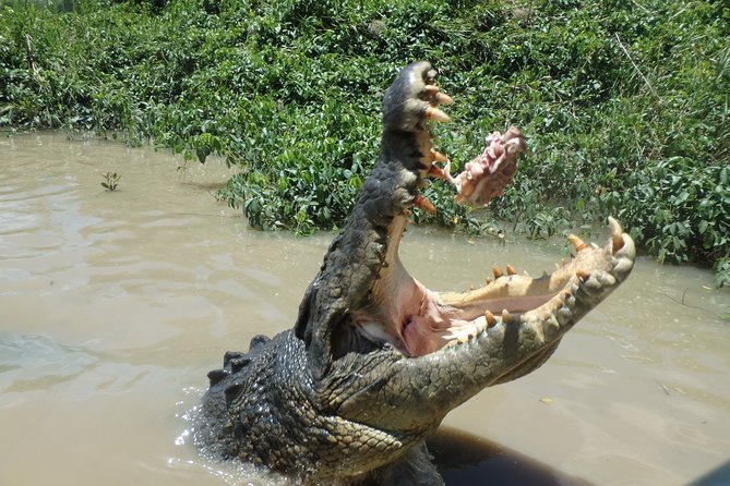 Litchfield And Jumping Crocodiles Full Day Trip From Darwin - ACT Tourism 18