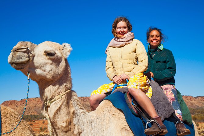 Alice Springs Camel Tour - ACT Tourism 8