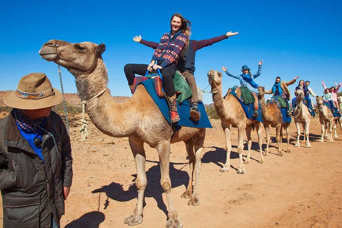 Alice Springs Camel Tour - ACT Tourism 7