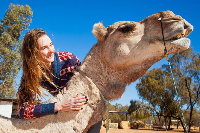 Alice Springs Camel Tour - ACT Tourism 6
