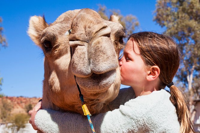 Alice Springs Camel Tour - ACT Tourism 2