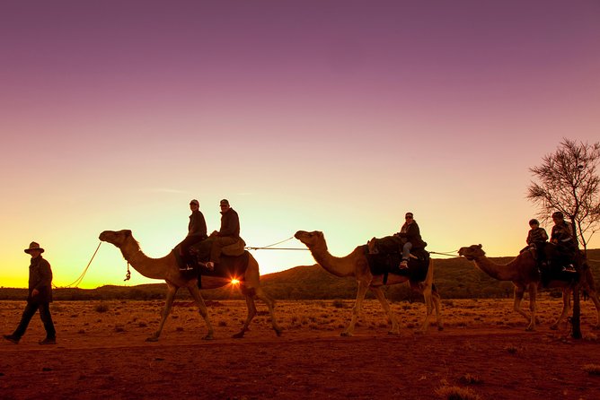Alice Springs Camel Tour - ACT Tourism 4