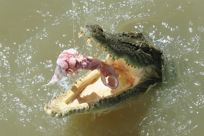 Darwin Jumping Crocodiles Cruise On Adelaide River - C Tourism 0