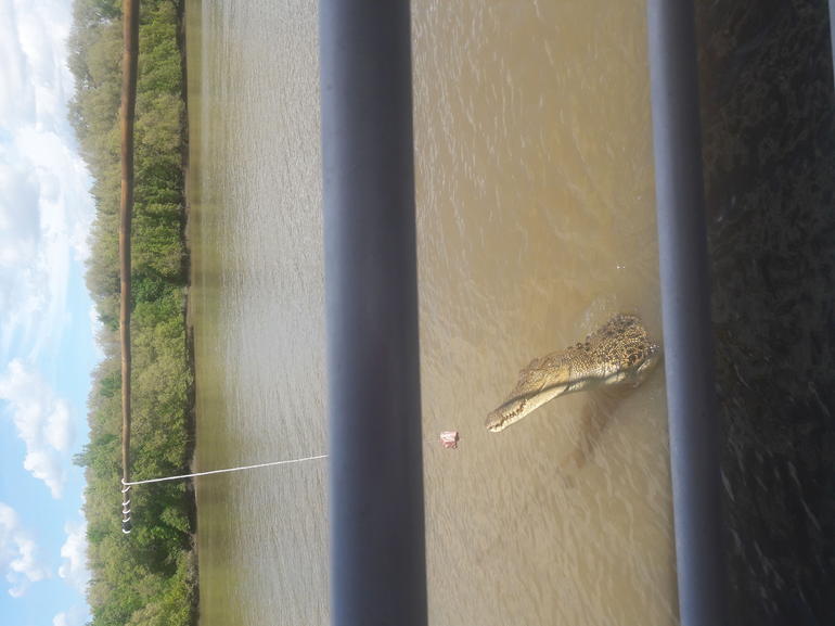 Darwin Jumping Crocodiles Cruise On Adelaide River - ACT Tourism 3