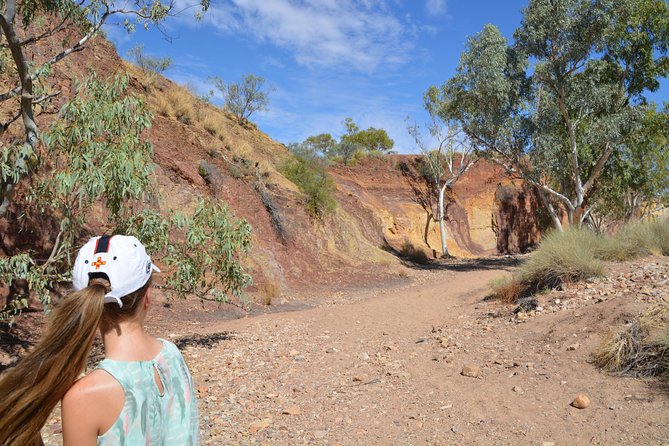 West MacDonnell Ranges Small-Group Full-Day Guided Tour - Accommodation ACT 2