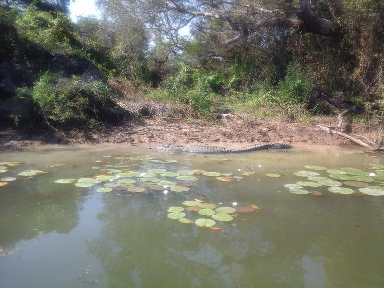 3-Day Kakadu National Park And Arnhem Land Explorer Tour From Darwin - Accommodation ACT 23