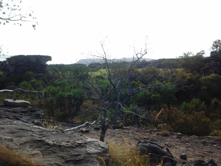3-Day Kakadu National Park And Arnhem Land Explorer Tour From Darwin - Accommodation ACT 14