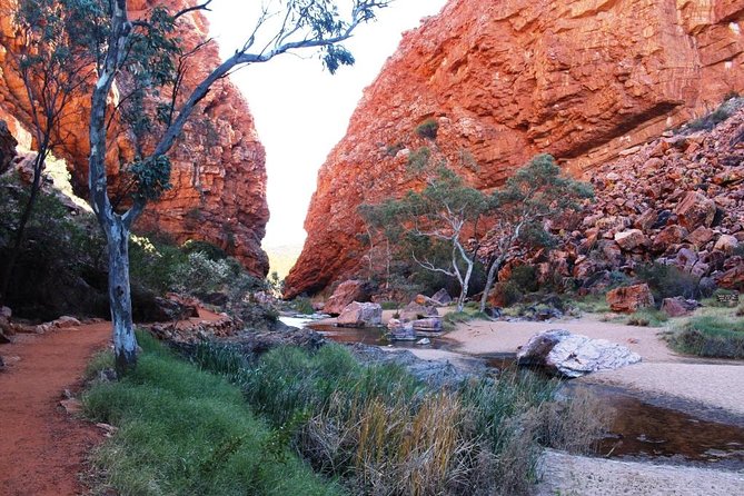 Half Day MacDonnell Ranges Small Group - Private Guided Tour - Accommodation ACT 0