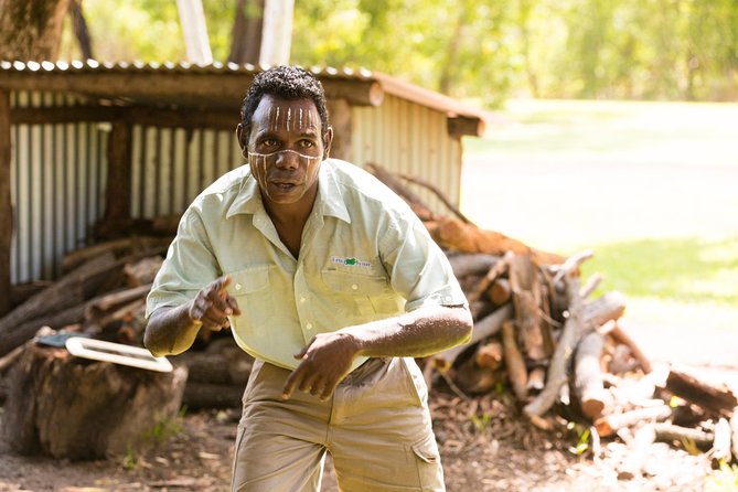 Tiwi Islands Cultural Experience From Darwin Including Ferry - Accommodation ACT 5
