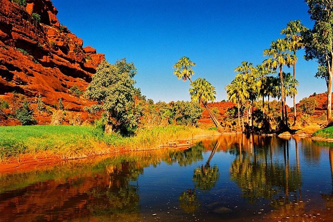 Palm Valley 4WD Day Tour - Find Attractions 0