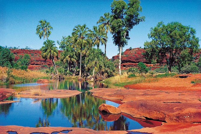 Palm Valley 4WD Tour From Alice Springs - Accommodation ACT 1
