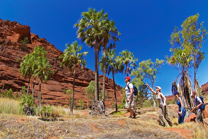 Palm Valley 4WD Tour From Alice Springs - Accommodation ACT 0