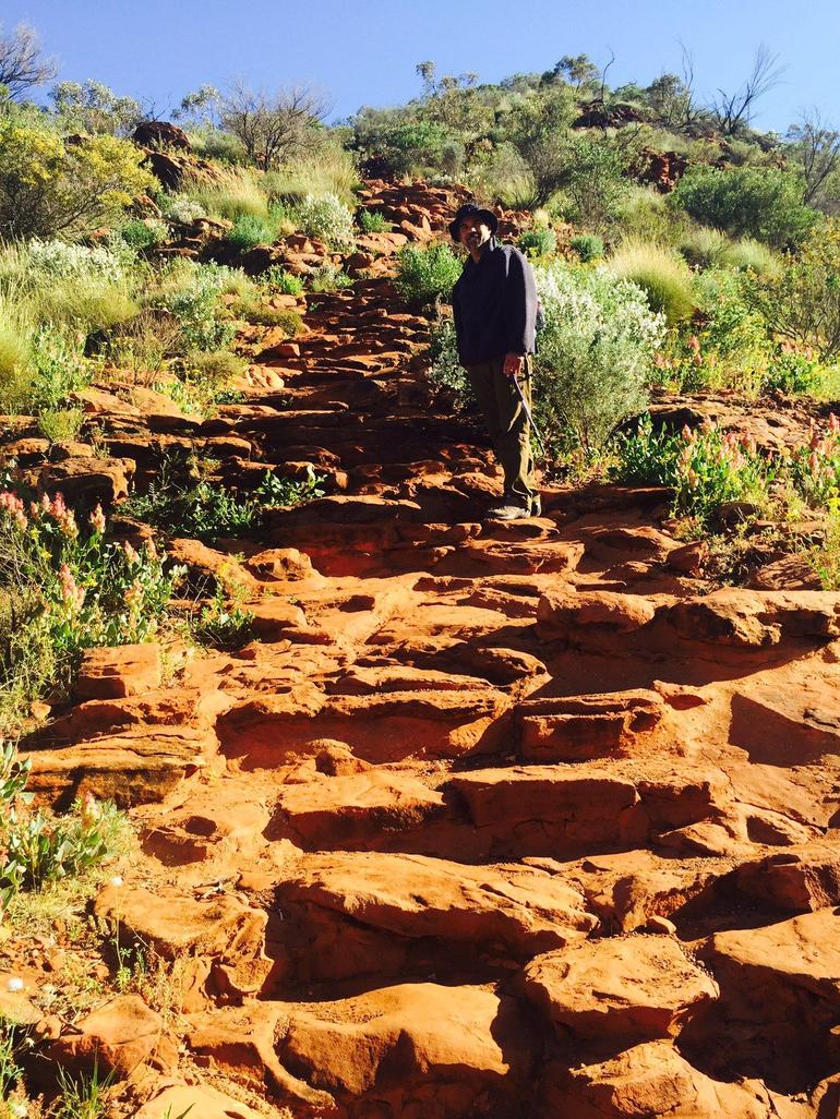 4-Day 4WD Camping Tour: Uluru, Kata Tjuta, And Kings Canyon - thumb 2