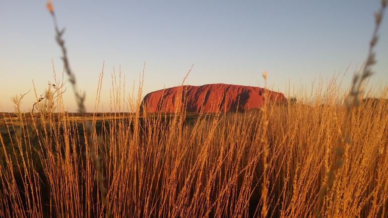 4-Day Camping Trip From Ayers Rock Including Uluru, Kata Tjuta And Kings Canyon - thumb 2
