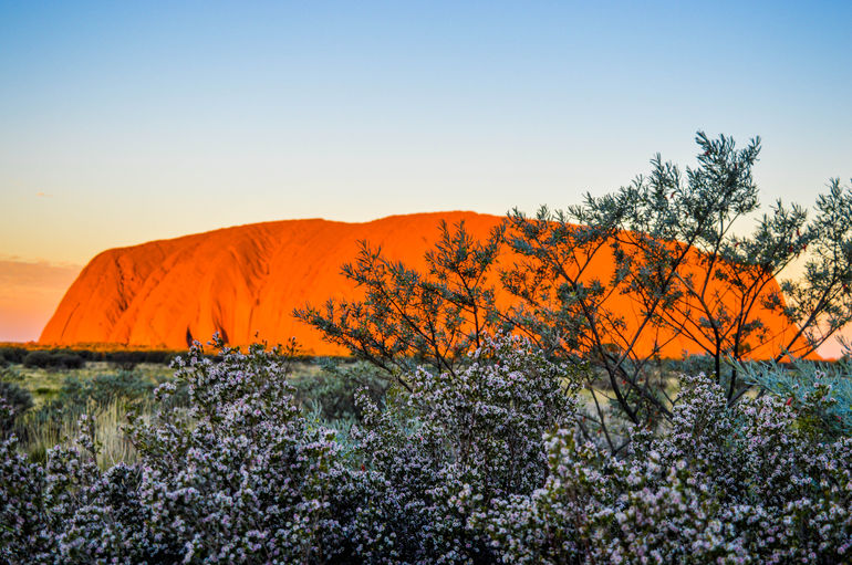 Uluru Sunrise And Kata Tjuta Half Day Trip - thumb 2