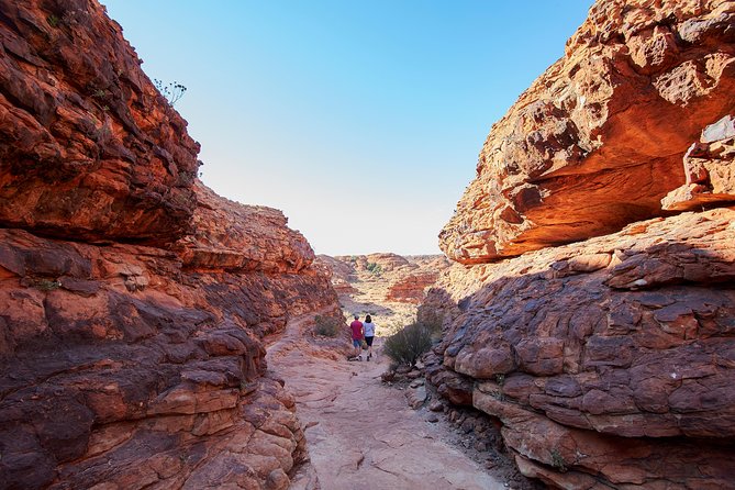 Coach Transfer From Kings Canyon To Alice Springs - Find Attractions 7