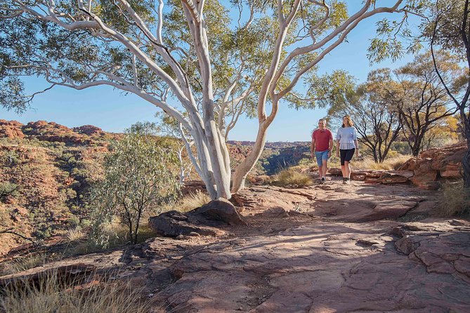 3-Day Tour From Uluru (Ayers Rock) To Alice Springs Via Kings Canyon - thumb 26
