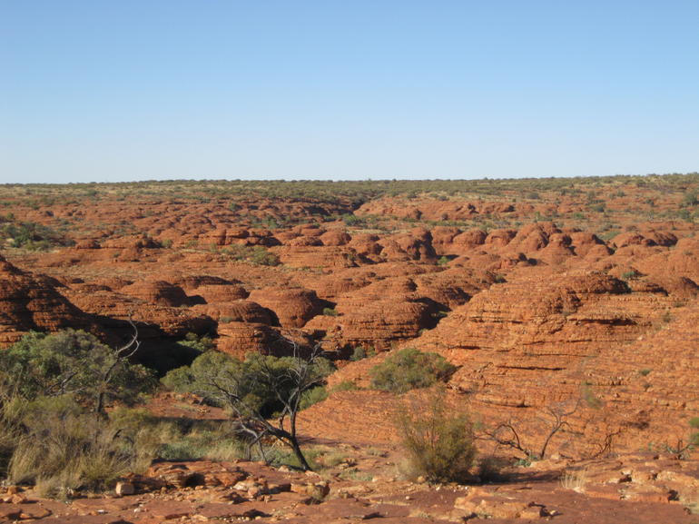 3-Day Uluru And Kings Canyon Camping Experience From Alice Springs Including Outback BBQ Dinner - Accommodation ACT 2