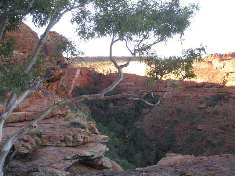 3-Day Uluru And Kings Canyon Camping Experience From Alice Springs Including Outback BBQ Dinner - thumb 1