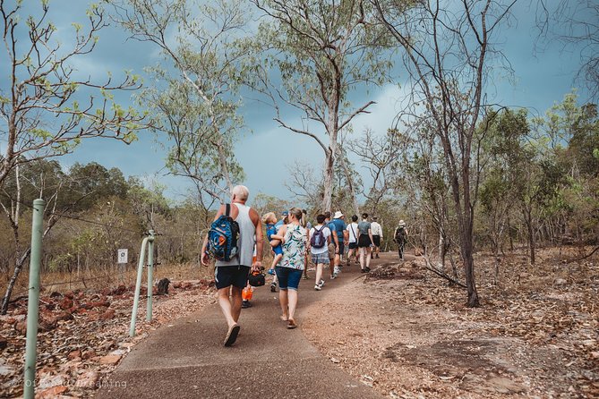 Litchfield National Park Day Tour From Darwin With Waterfalls And Buley Rockhole - thumb 11