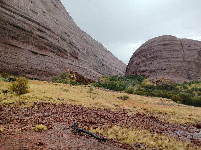 3-Day Ayers Rock To Alice Springs Camping Tour Including Kings Canyon, Kata Tjuta And Uluru - thumb 4