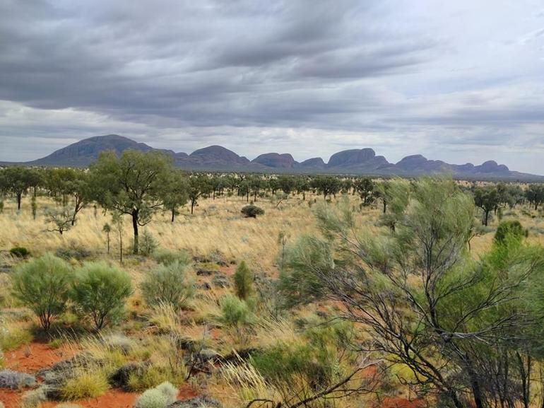 3-Day Ayers Rock To Alice Springs Camping Tour Including Kings Canyon, Kata Tjuta And Uluru - thumb 5