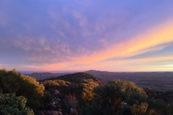 14-Day Larapinta Trail Walking Tour From Alice Springs - thumb 1