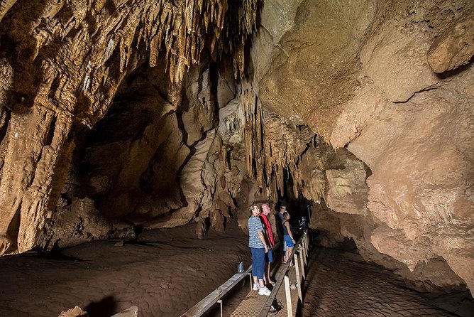 Cutta Cutta Caves Nature Park Guided Tours - thumb 1