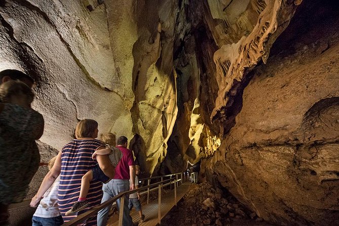 Cutta Cutta Caves Nature Park Guided Tours - thumb 0
