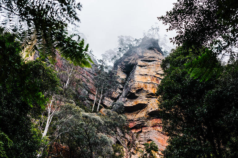 All-Inclusive Blue Mountains Day Trip With River Cruise - Accommodation ACT 3