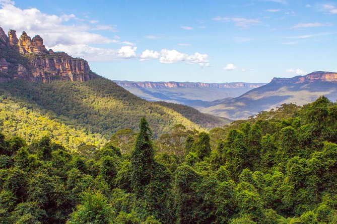 All-Inclusive Blue Mountains Day Trip With River Cruise - thumb 28