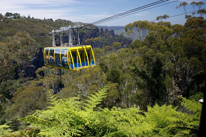 Go Sydney Explorer Pass With Hop-on Hop-Off Bus, Taronga Zoo And More - Accommodation ACT 10
